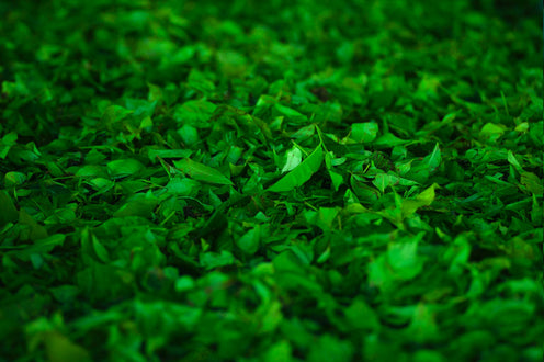cosmétiques bio Nature Cos