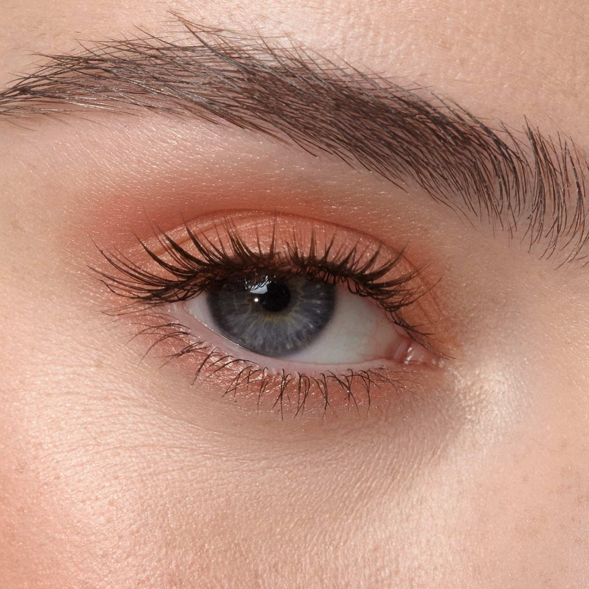 Fards à paupières Urban Lights