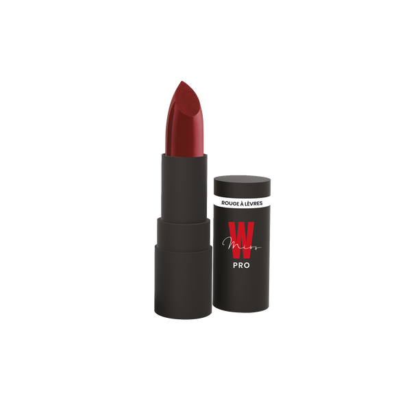 Rouge à lèvres mat 134 -  Miss W Pro